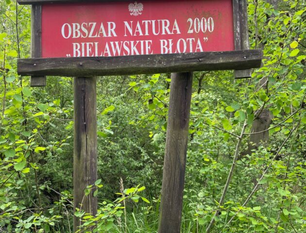 image0 (10)
